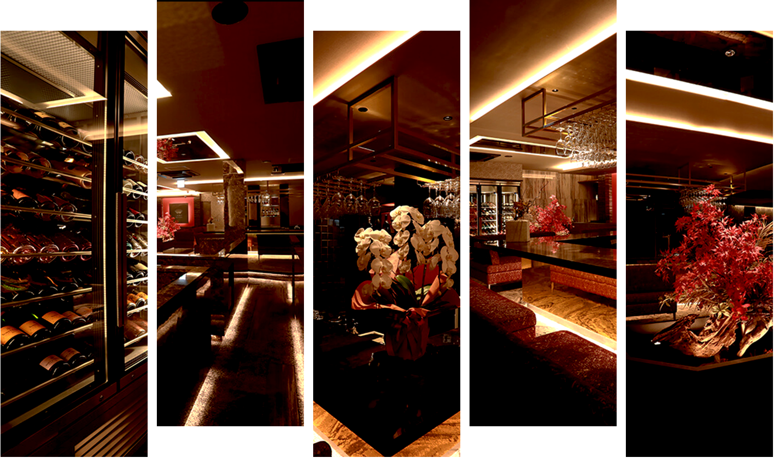 コンセプト画像